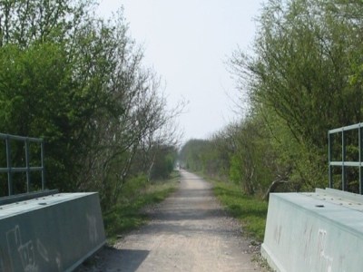 Reaching beyond the comfort&nbsp;zone